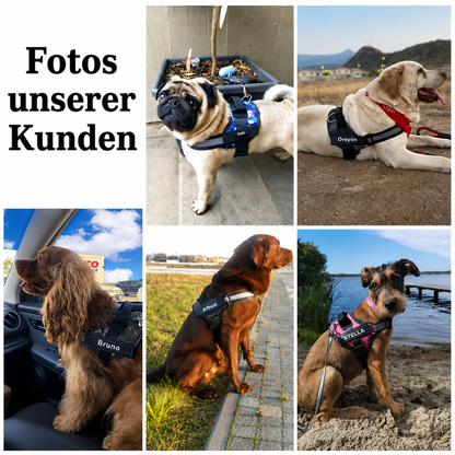 Personalisiertes Hundegeschirr mit Name & Telefon