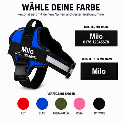 Personalisiertes Hundegeschirr mit Name & Telefon