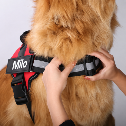Personalisiertes Hundegeschirr mit Name & Telefon